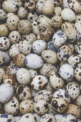 fresh quail eggs on a farmers market soft focus overhead-angle