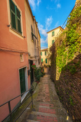 Fototapeta na wymiar Street in the seaside town in the National Park of Cinque Terre,