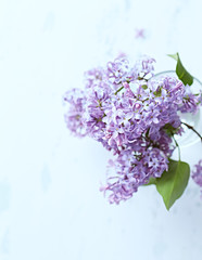 Spring Lilac in a Glass of Water (seen from above)