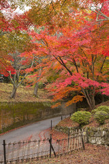 京都・毘沙門堂の紅葉