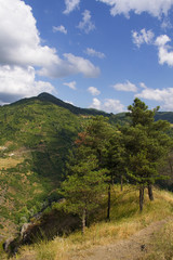 Uçurumun kenarında bir vadi