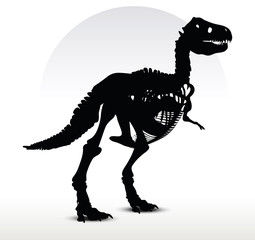 dinosaurs trex skeleton © ISTANBUL2009