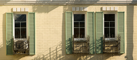 Tree open windows panorama