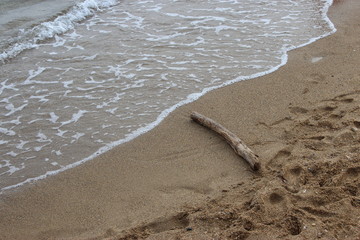 Plage de la Croix-Valmer, bois flotté