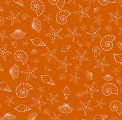 sea pattern texture from cockleshells
