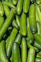 Fresh cucumber at the market