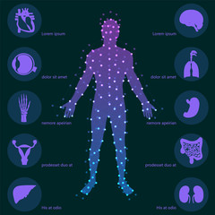 Medical background. Human anatomy.
