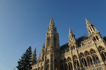 Wiener Rathaus mit Weihnachtsbaum
