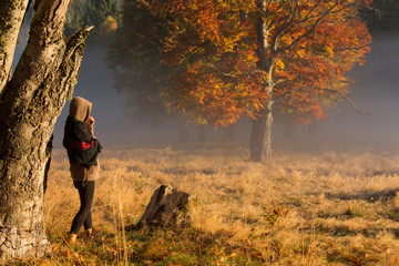 Silhouette of woman meditating in forest in a foggy morning