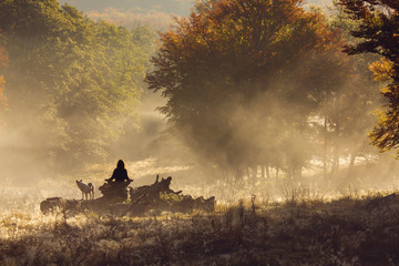 Silhouette of woman meditating in forest in a foggy morning
