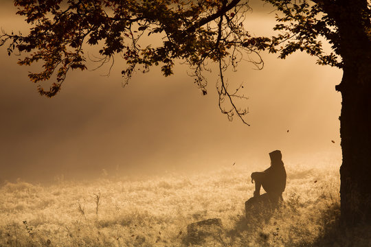 Silhouette Of Woman Meditating In Forest In A Foggy Morning