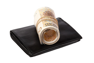 Rolled banknotes on a wallet