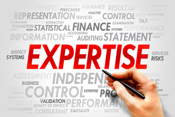 EXPERTISE word cloud, business concept