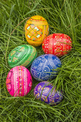 Some Colored Easter Eggs in Grass