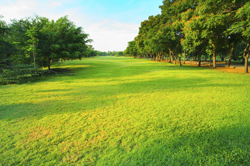 beautiful morning light in public park with green grass field an