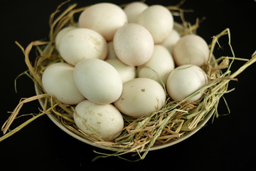 Duck eggs for cooking