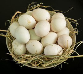 Duck eggs for cooking