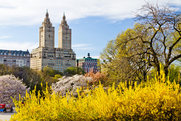 Obraz na płótnie Canvas New York City - Central Park Spring Landscape