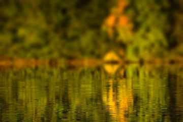 Autumn water reflection