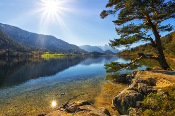 Grundlsee lake shore in sunlight with beautiful tree, Alps mount