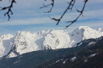 Aravis