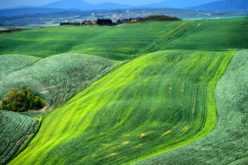 Onde senesi