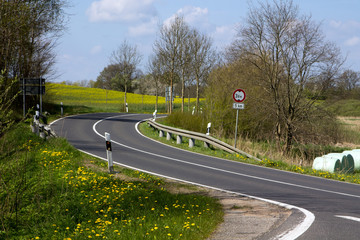 Landstrasse im Frühling mit Rapsfeld