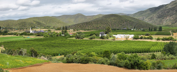 Plantation fields landscape