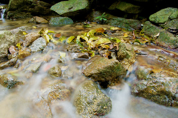 The small waterfall and rocks in forest, thailand