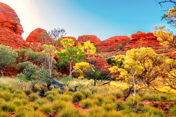 Fototapety  Australia outback