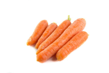 Gruppo di carote