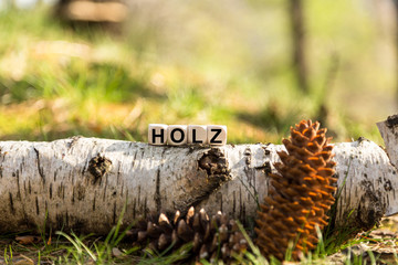 Fototapeta na wymiar Würfel auf dem Waldboden - Holz