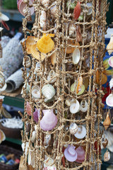 decorative shell at market