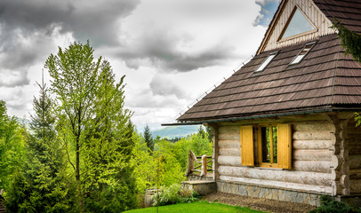 Beautiful log cabin in forest