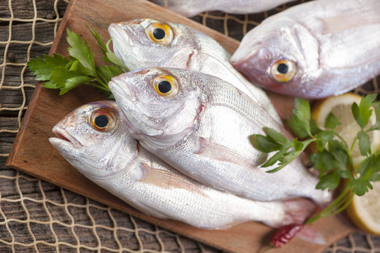 Fish
