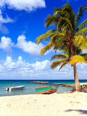 Fototapeta na wymiar Caribbean beach in Dominican Republic