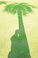 Man and betel palm shadow