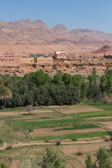 The agriculture at foothill in Tinghir city, Morocco