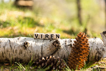 Würfel auf dem Waldboden - Viren