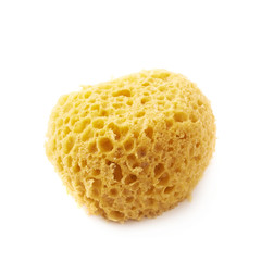 Yellow bathing sponge isolated