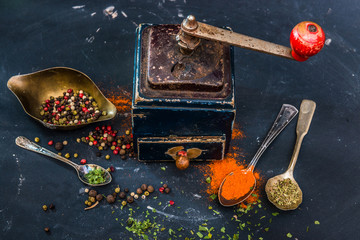 Obraz na płótnie Canvas Mill for spices 