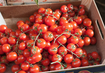 Sicilian box of bunches cherry tomatoes