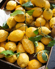 Baskets with  lemons in outdoors market of Sorrento