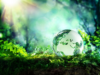 globe on moss in a forest - Europe - environment concept
 - obrazy, fototapety, plakaty