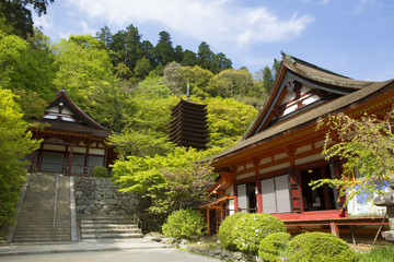 春の奈良談山神社