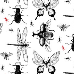 Various bugs in the pattern