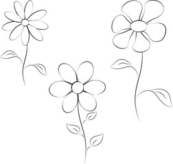 Black and White Flower Illustrations