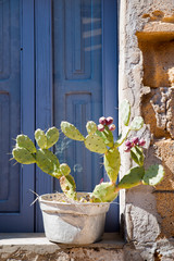 Rustic metal vase and a cactus plant on a stone window sill 