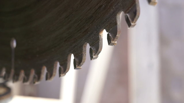 Miter Saw Radial Blade Teeth Macro Side View