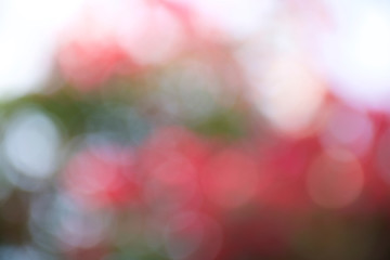 pink and green abstract blurred background with bokeh effect